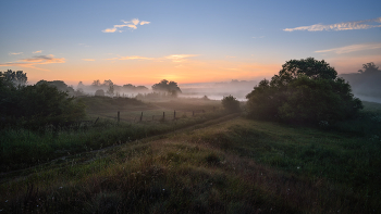 Dawn / ***
