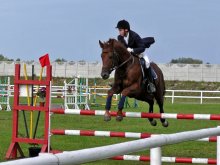 Show Jumping / ***