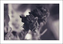 moment / ***
