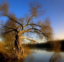 Ranitsa.Krasavik. / ........