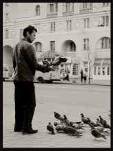 Pigeons / ***