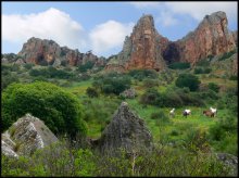 walk on Israel / ***