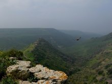 walk on Israel / ***