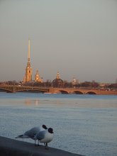 My St. Petersburg / *****