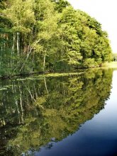 reflection in the water / ***