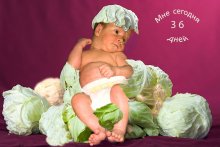 Lala in the cabbage / ***