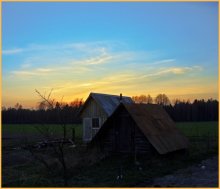 sunset over the forest / ___________