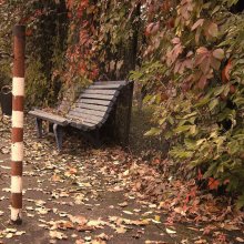 Bench in the park / .........