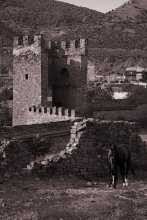 On the ruins of an old fortress / -----