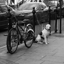 Wating / ***