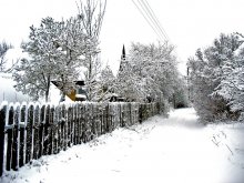 Winter in countryside / ***