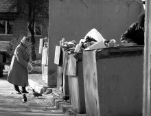 Feeding birds / *****