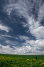 Above the earth blossoms dragons soar ... / ***