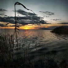 The May sunset over the bay / ***