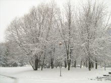 seasons. one place / ***