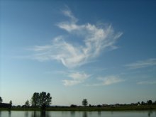 air / ***