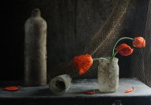 Still life with poppies / ***
