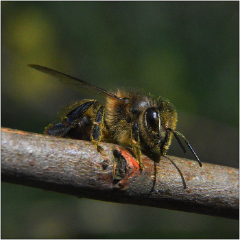 Warm me up ... / ***