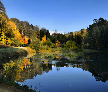 Autumn Pond / ***