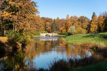 Autumn in Pavlovsk / ***