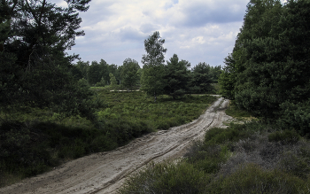 Road / ***