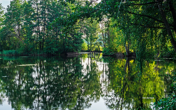 Fog dissipates / ***