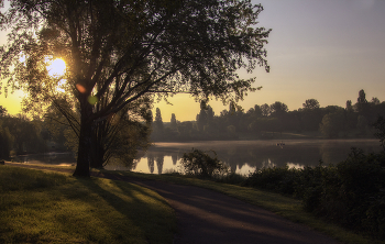 Fog dissipates / ***