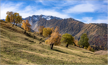 Autumn in the mountains / ***