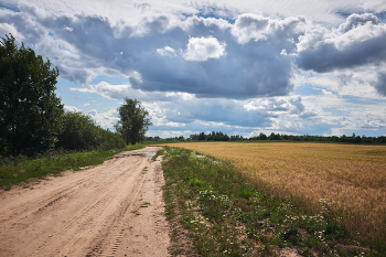 Road / ***