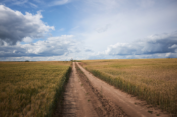 road in a field / ***