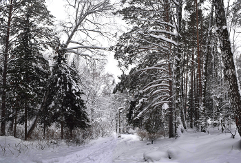 Weather recovered ... / ***