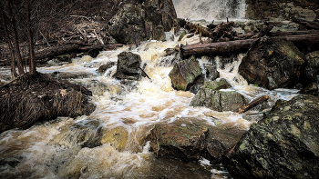 Mountain Stream / ***