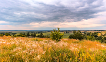 Summer evening. / ...