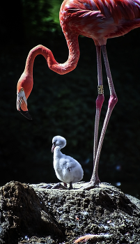 Mother and Child / ***
