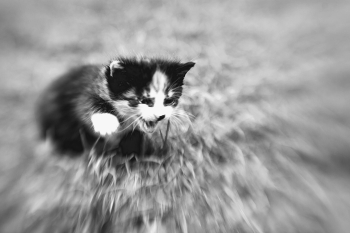Life around / ***