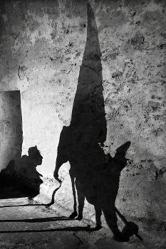 A game of shadows / ***