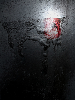 Mystic Animal / Seen in dreams