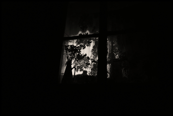 Life around / ***
