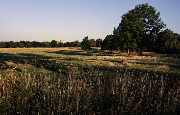 Morning in the country / ***