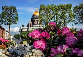 Saint Isaac&#39;s Cathedral / ***