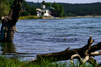 Simferopol Reservoir / ***