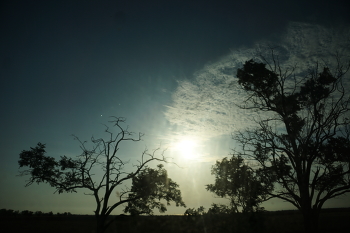 Evening / ***