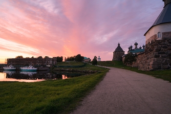 Pink Evening / ***
