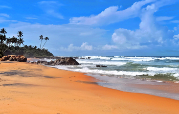 Paradise / ***