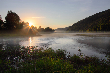 Cold morning / ***