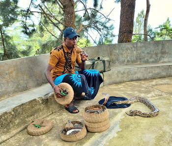 Snake-charmer / ***