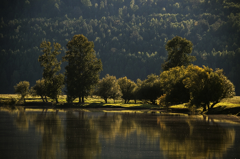autumn soon / ***