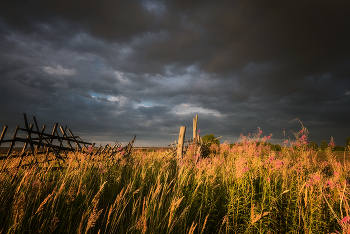 It was getting dark ... / ***