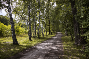 in the park / ...