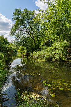 In the countryside / ***